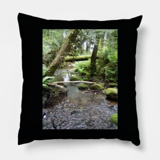 Fox Creek, Rainier, Oregon Pillow