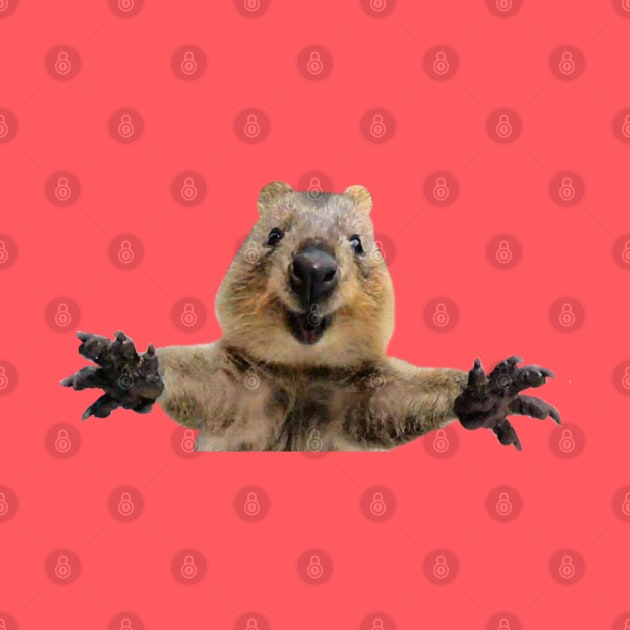 Quokka welcoming arms by ballooonfish