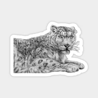 Snow Leopard Magnet