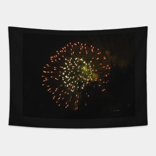 3rd of July Fireworks 4 Tapestry