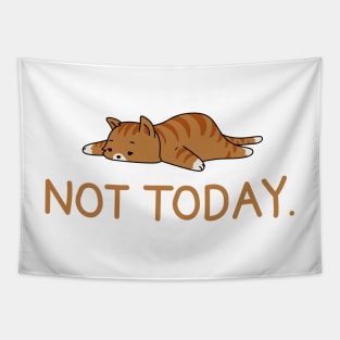 Sleepy Cat Not Today Tshirt, Cat Sticker, Sleepy Cat, Men Women Tshirt Tapestry