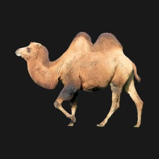 Camel T-Shirt