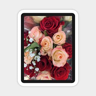 Roses Magnet