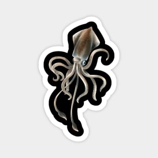 Squid Magnet