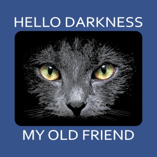 Hello Darkness My Old Friend 1 T-Shirt