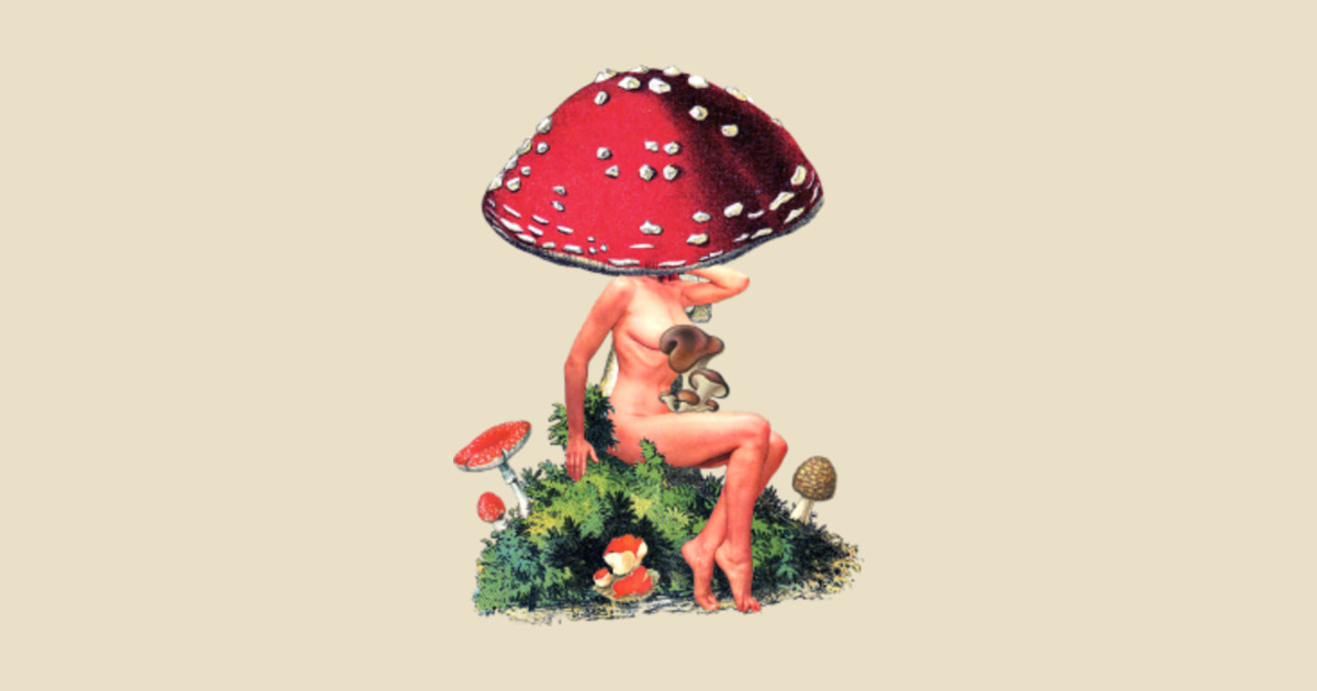 Рисунок девушка гриб