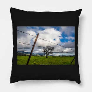 Falling Fences Pillow