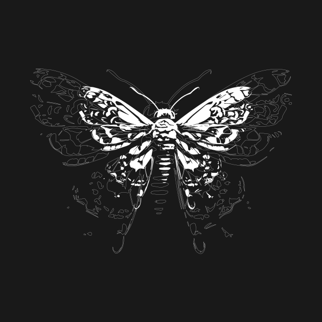 moth tattoo design by lkn