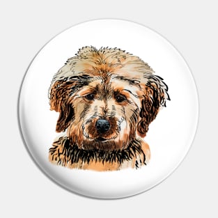 labradoodle portrait Pin