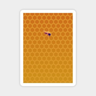 Honeycomb and bee Magnet