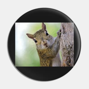Staring Contest with a Squirrel Pin