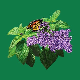Heliotropes - Monarch Butterfly on Heliotrope T-Shirt