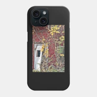 Vacant Doorway Phone Case