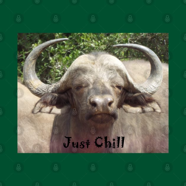 Just Chill Cool Water Buffalo by HutzcraftDesigns