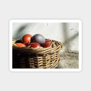 Farmhouse Easter Eggs Magnet