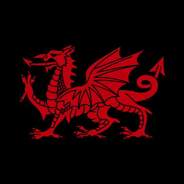 Welsh Dragon by n23tees