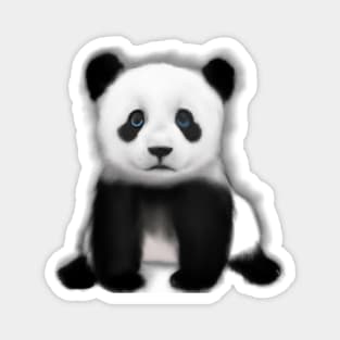 Cute Panda Drawing Magnet