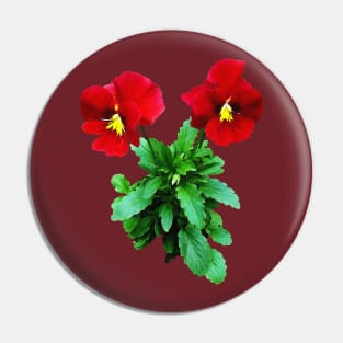 Pansies - Red Pansy Duo Pin