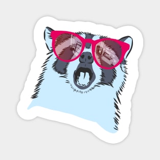 raccoon with rainbow glasses Magnet