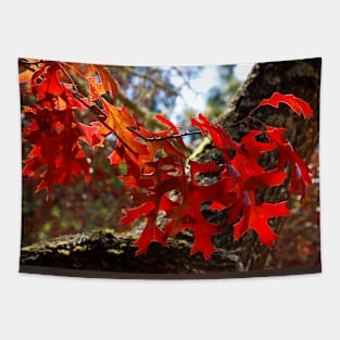 A Touch of Autumn Tapestry