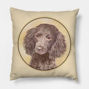 American Water Spaniel Pillow