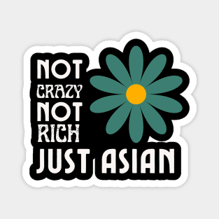 Not Crazy Not Rich Just Asian Magnet