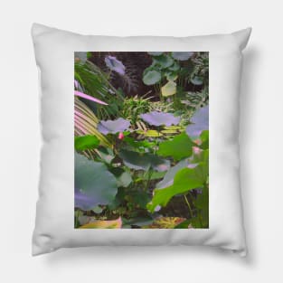 Botanical Study Pillow