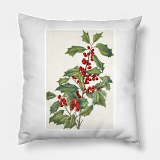 American holly - Botanical Illustration Pillow