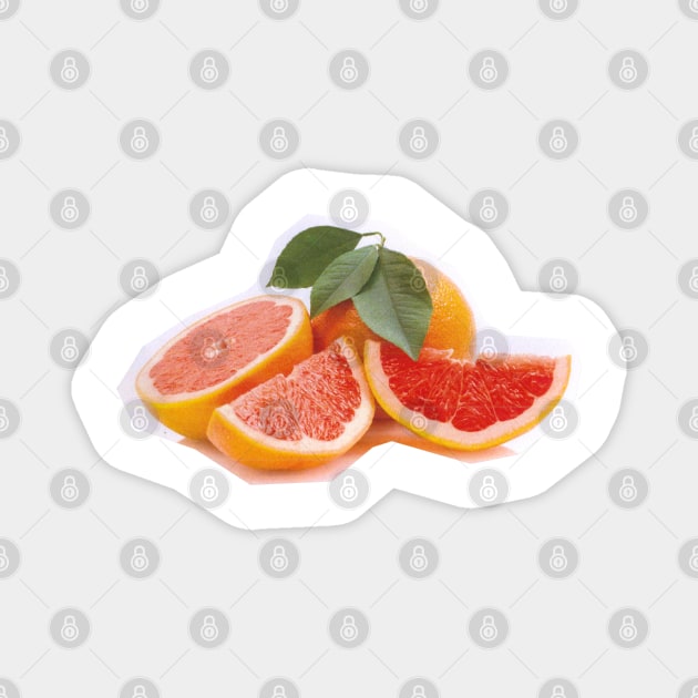 Orange Slice Leaf Magnet by Food Photography