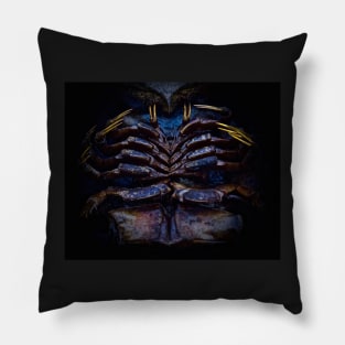 ASIMOV Pillow