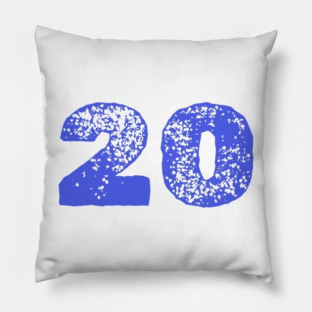 20 Pillow by Z And Z