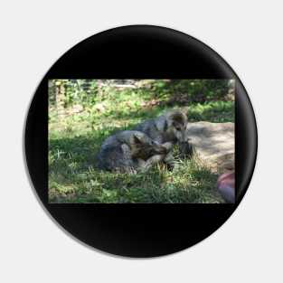 Wolf Puppies Pin