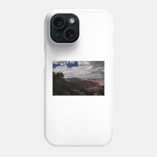 WGC_4384 Phone Case