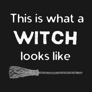 What a Witch Looks Like 2 T-Shirt