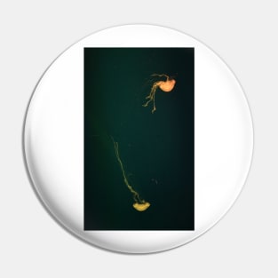 Jellyfish Dance. Vladivostok Aquarium Pin