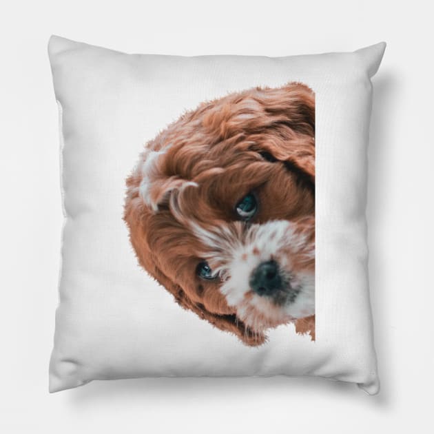 Puppy Peekaboo Pillow by Studio-Sy