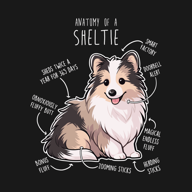 Sheltie Shetland Sheepdog Anatomy by Psitta