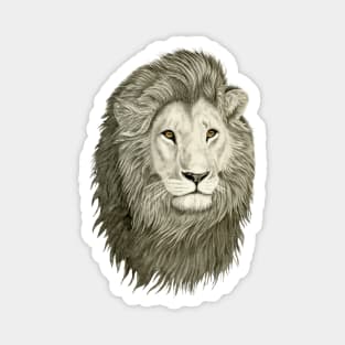 Lion with golden eyes Magnet