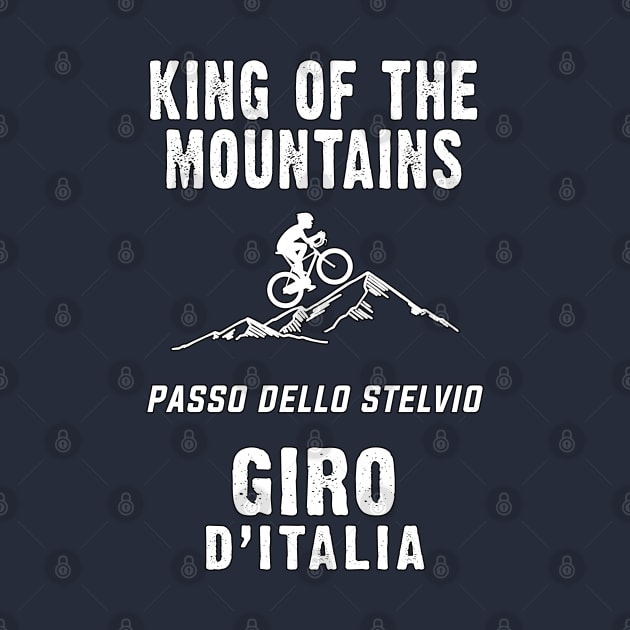 PASSO DELLO STELVIO King of the mountains Giro d`Italia For The Cycling Fans by Naumovski