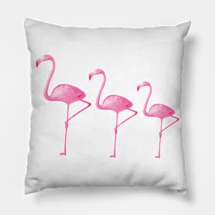 Flamingo's Pillow