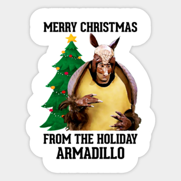 Image result for holiday armadillo