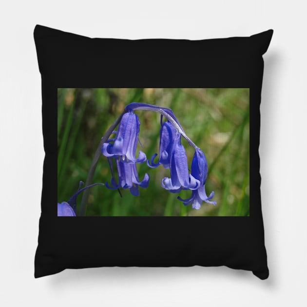 Bluebell in the shade Pillow by AH64D