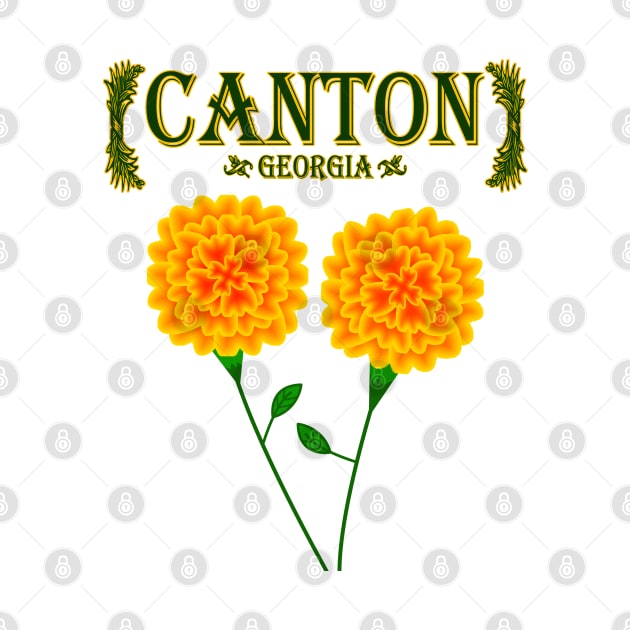 Canton Georgia by MoMido