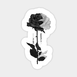 Memento mori Black and white Rose Magnet