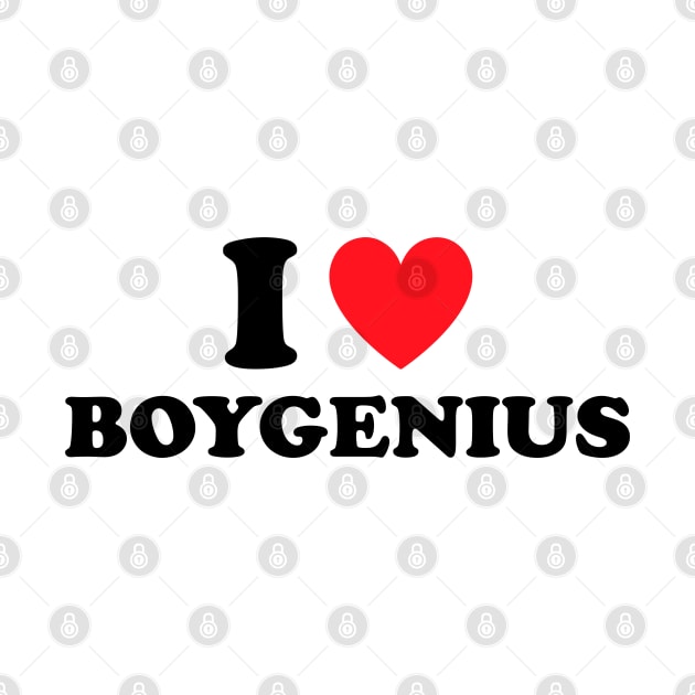 I Love Boygenius by Futiletees