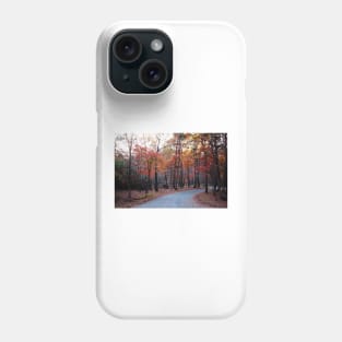 A Journey Through Fall Phone Case