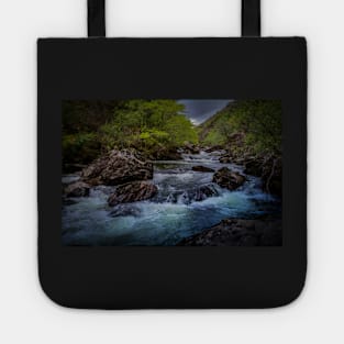 GORGEOUS GLASLYN FLOW Tote