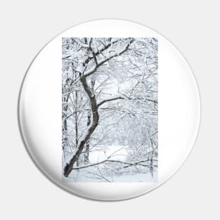 November Vermont Snow Pin