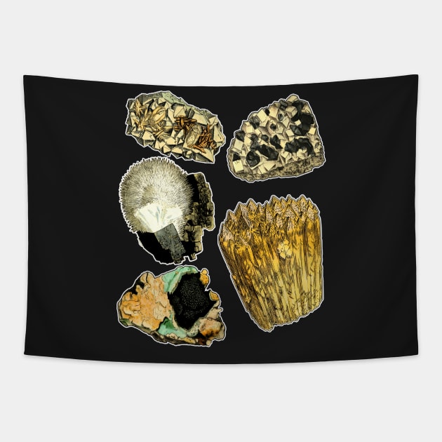 Rocks Minerals | Crystals Geodes Geology Tapestry by encycloart