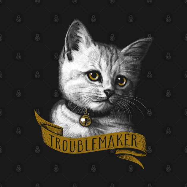 Troublemaker by LEvans